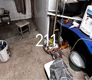 2025-05-16 02:48:20.552000